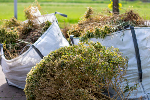 Best Residential Junk Removal  in Lake Orion, MI